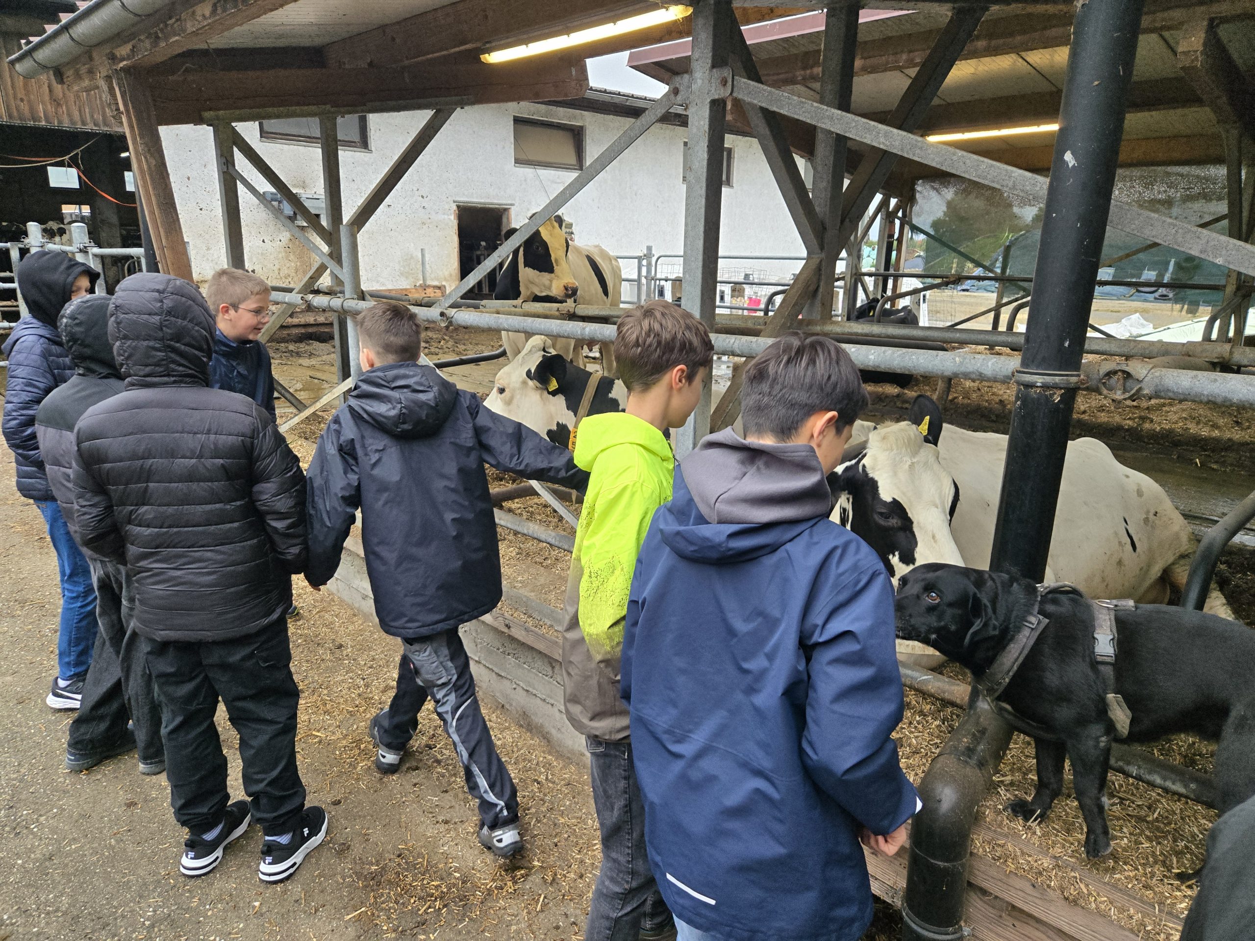 6e beim Bauernhof Baumert
